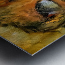 20240701 181546 4 Metal print