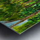 PSX 20250225 221700 Metal print