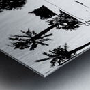 Hooptie - black and white -  PSX 20250302 042229 Metal print