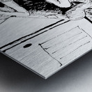 PSX 20250302 165240 Metal print