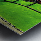 20231227 003706 8 EDIT Metal print