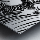 PSX 20250411 002754 Metal print