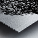 PSX 20250416 002941 Metal print