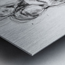 PSX 20241116 235901 Metal print