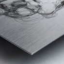 PSX 20241116 221327 Metal print