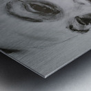 20230624 075855 Metal print