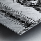 PSX 20250425 004631 Metal print