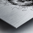 Temporary  PSX 20250521 015101 Metal print