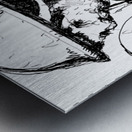 Temporary 20250521 015258 Metal print