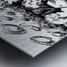 North Valley Symphony Orchestra   PSX 20250308 20 Metal print