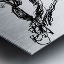 PSX 20241225 041452 Metal print