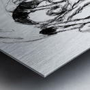 PSX 20250224 153401 Metal print