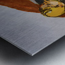 PSX 20240722 221954 Metal print