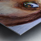 PSX 20250715 200403 Metal print