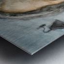 PSX 20250716 123057 Metal print