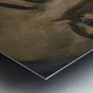 Veronica s Smile 16x12 Marc  Melis   20250617   A Metal print