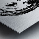 20250103 210736 3 Metal print