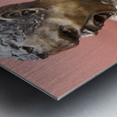 20241021 172033 Metal print