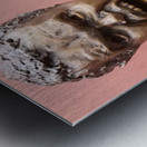 20241021 172007 Metal print