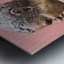 20241021 172038 Metal print