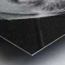 20221124 125902 Metal print