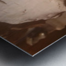 Screenshot 20220521 160006 Gallery EDIT Metal print