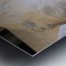 20230817 165011 Metal print