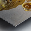 20231031 121613 Metal print