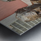 1000018757 Metal print