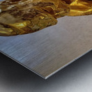 20231031 121540 Metal print