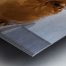 20220429 103141 Metal print