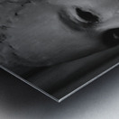 Screenshot 20220512 093315 Gallery 2 EDIT Metal print