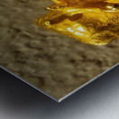 20240203 221318 Metal print