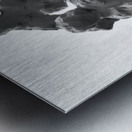 PSX 20250626 173128 Metal print