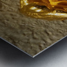 20240203 221442 Metal print