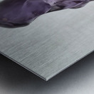 20250416 163633 Metal print