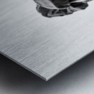 PSX 20250706 204652 Metal print