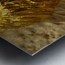 20240203 221622 Metal print