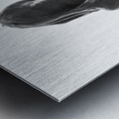 PSX 20250330 143032 Metal print