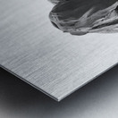 PSX 20250620 164025 Metal print