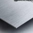 PSX 20250626 180804 Metal print