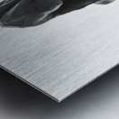 PSX 20250330 141753 Metal print