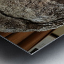 20220227 052623 Metal print