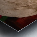 20220717 044805 2 Metal print