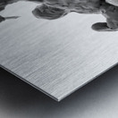 PSX 20250710 184554 Metal print