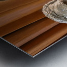 20220228 201343 Metal print