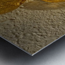 20240203 221850 Metal print