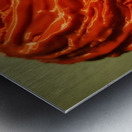 20221016 211024 Metal print