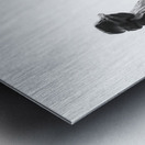 PSX 20250626 001640 Metal print