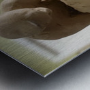 20231015 053026 Metal print